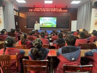 商丘市示范区平台小学开展“爱鸟护鸟”系列主题活动