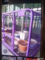 【宠物用品/食品】宠物用品/食品价格