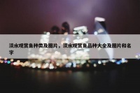 淡水观赏鱼种类及图片，淡水观赏鱼品种大全及图片和名字