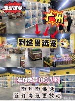 广州哪里正规犬舍猫舍基地这家宠物店良心推荐，信誉高