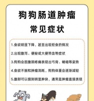 狗狗脱水的原因及判断方法（保护你的爱犬远离脱水危险，掌握这些关键信息！）
