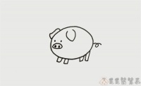 简笔画动物猪简单画 简笔画图片大全