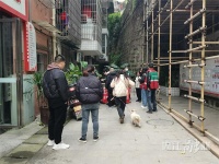 3分钟完成狗狗免疫！内江“智慧宠防”让养狗更省心