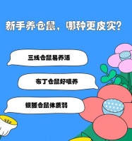 养仓鼠的注意事项（了解养仓鼠的常见问题，让它们健康快乐生活）