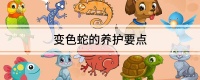 变色蛇的养护要点