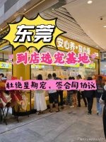 东莞哪里有金毛犬出售？东莞这里上门挑选金毛犬，新手推荐！