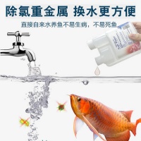 宠物护理新革命：全面对比鱼麒麟水族净化剂、毛妈妈五合一剃毛器与Jirpet智能烘干箱