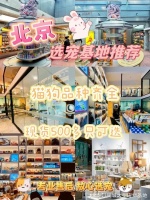 北京有没有专门卖猫狗的地方?这儿有实体店可选，放心大胆挑吧