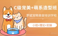 武汉C级宠物美容+萌系造型培训班