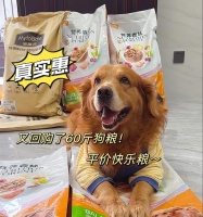 大型狗狗粮，选购何牌子最佳？（大型犬的营养需求及粮食选择指南）
