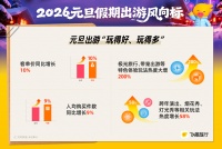 元旦跨年怎么玩？飞猪：看极光、带宠旅行热度大增200%