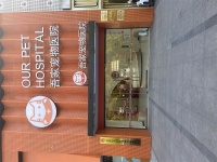 上海靠谱宠物医院推荐｜吾家24小时诊疗，全时段安心