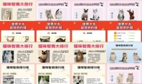 猫智商排名榜