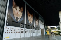 高爷家「上岸计划」：AI与创意助力高校流浪猫领养