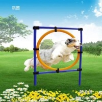 嘉兴宠物训练 专业训犬超大场地