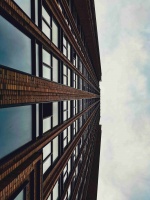 巴西龟养殖手册：习性解析、环境配置与饮食要点（巴西龟饲养方法以及日常护理注意事项）