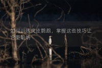 如何训练虎皮鹦鹉，掌握这些技巧让它更聪明