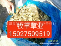 植物性牛羊饲料牛羊植物性粗饲料植物性饲料原料植物性秸秆饲料