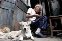 陪锻炼的宠物狗怎么养好