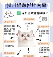 怎么申请猫粮系统认证呢？需要哪些步骤和材料？