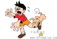 犬伤患者伤口的处理及健康教育