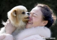 狗1岁=人7岁？算错了，正确的年龄换算表在这！