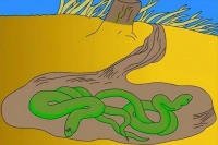 蛇冬眠时毫无抵抗能力，死亡率超30%，为何还要冬眠？