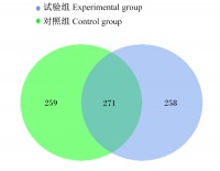 膳食纤维素对宠物猫饲粮适口性、血清抗氧化指标和粪便微生物区系的影响