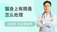 猫身上有跳蚤怎么弄