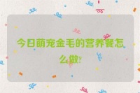 今日萌宠金毛的营养餐怎么做?