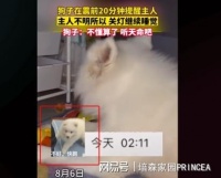 “地震来了狗都不好当”，为什么狗狗能提前感知地震来临？