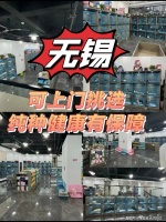 无锡买柯基犬的价格地方？无锡正规买柯基犬基地，买柯基犬的好去处！