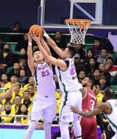 老哈喂养指南（为您的宠物打造健康饮食）