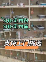 哈尔滨宠物市场在哪里，这里包你安心舒心，还能当面挑选自己心仪的宠物！