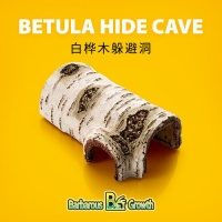 守宫蜥蜴宠物蛇仿真白桦木躲避洞穴爬宠帮助蜕皮造景攀爬树枝装饰