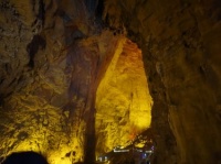 长沙的爬宠✨在北辰三角洲集合了！！