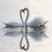 婴儿口腔怎么保健