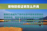 宠物防疫证明怎么开具