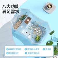 宠尚天：您的乌龟理想家园，尽在这一缸！