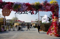 元旦来虎丘，在“百年花事”中尽享苏州潮玩