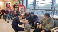 敬老院里来了一群“毛孩子疗愈师”