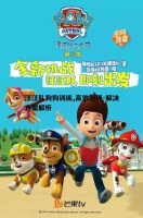 汪汪队狗狗训练,高效陪伴