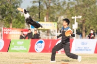 CNDDI中国飞盘狗全国邀请赛十周年庆典于广东省佛山市举行