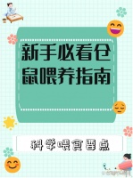 仓鼠每天都要喂食吗，分年龄科学喂养