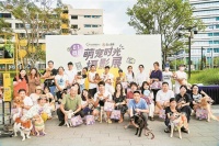 让小狗猫咪成为主角