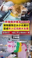 一件宠物冲锋衣500元！我国宠物市场规模突破6000亿