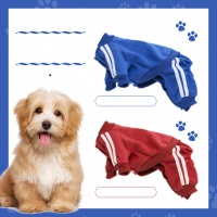 狗狗服饰宠物背景