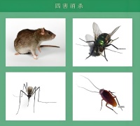 天河区**灭鼠 售后完善