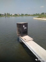 水产养殖户如何提高饲料利用率