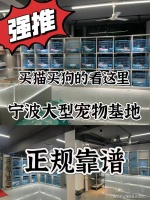 宁波买宠物到哪里买？（宁波）这里买宠物靠谱推荐，售后无忧！